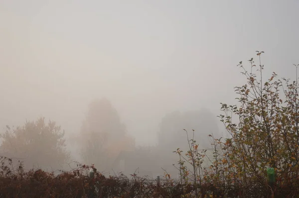 Brouillard matinal et brume dans la forêt et le village — Photo