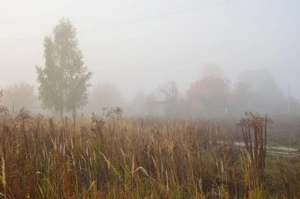 Brouillard matinal et brume dans la forêt et le village — Photo