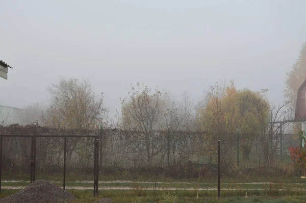 Brouillard matinal et brume dans la forêt et le village — Photo