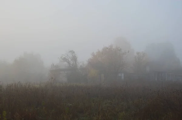 หมอกเช้าและหมอกในป่าและหมู่บ้าน — ภาพถ่ายสต็อก