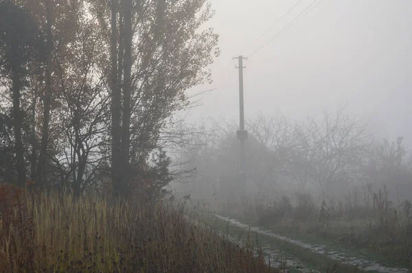 森と村の朝の霧と霞 — ストック写真