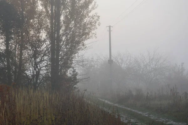 Niebla y neblina matutinas en el bosque y la aldea — Foto de Stock