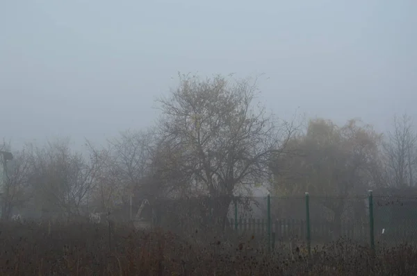 Morgennebel und Dunst in Wald und Dorf — Stockfoto