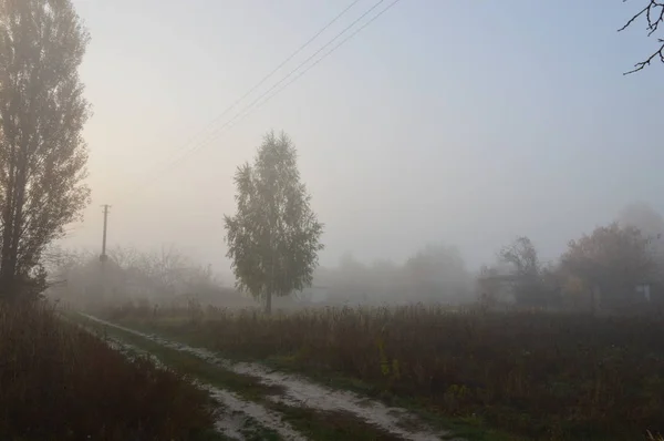 Niebla y neblina matutinas en el bosque y la aldea — Foto de Stock