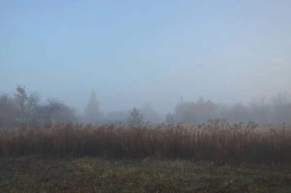 Niebla y neblina matutinas en el bosque y la aldea — Foto de Stock