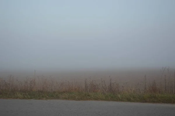 Nevoeiro matutino e neblina na floresta e aldeia — Fotografia de Stock