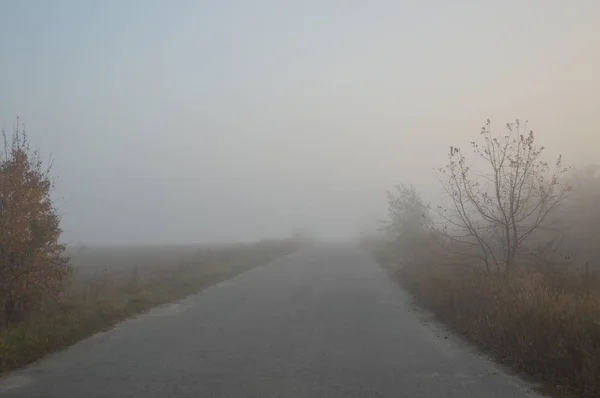 Ранковий туман і туман в лісі і селі — стокове фото