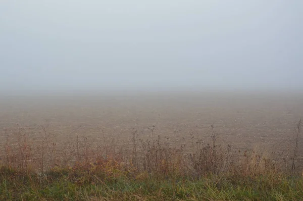 Πρωινή ομίχλη και ομίχλη στο δάσος και το χωριό — Φωτογραφία Αρχείου