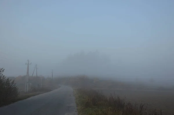 Утренний туман и туман в лесу и деревне — стоковое фото
