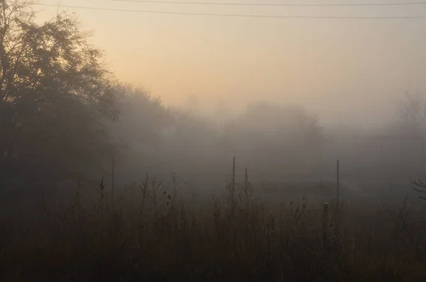 Morgennebel und Dunst in Wald und Dorf — Stockfoto