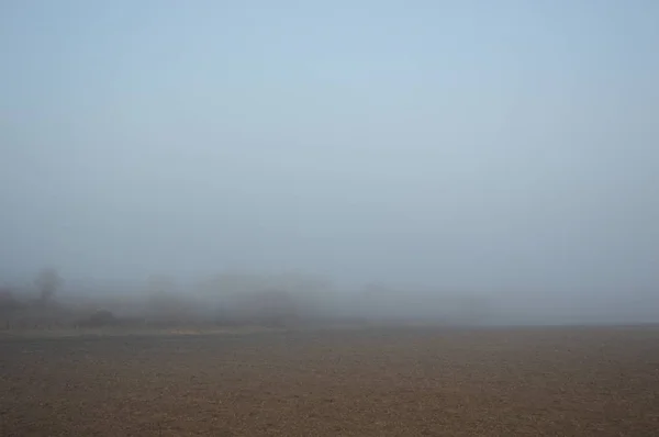 Poranna mgła i mgła w lesie i wiosce — Zdjęcie stockowe