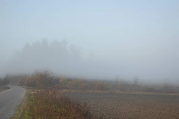 Brouillard matinal et brume dans la forêt et le village — Photo