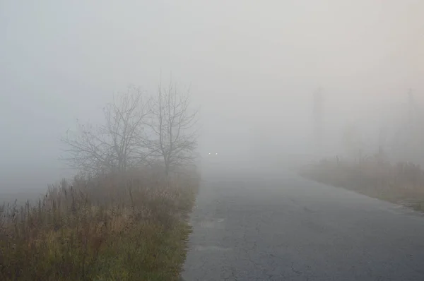 Ранковий туман і туман в лісі і селі — стокове фото