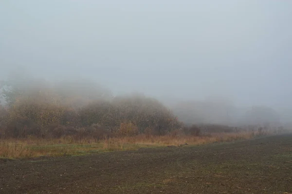 Niebla y neblina matutinas en el bosque y la aldea — Foto de Stock