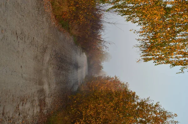 Morning fog and haze in the forest and village — Stock Photo, Image