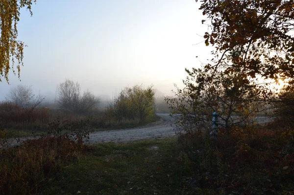 Nevoeiro matutino e neblina na floresta e aldeia — Fotografia de Stock