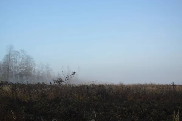 Brouillard matinal et brume dans la forêt et le village — Photo