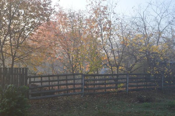 Brouillard matinal et brume dans la forêt et le village — Photo