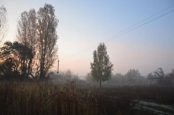 Ранковий туман і туман в лісі і селі — стокове фото