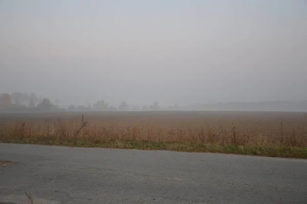 Niebla y neblina matutinas en el bosque y la aldea —  Fotos de Stock