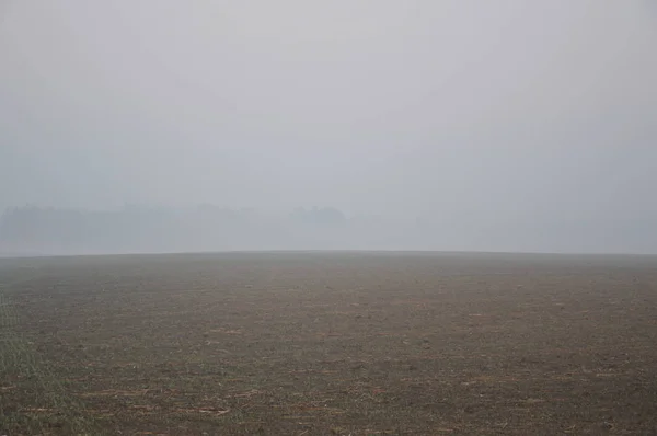 Nevoeiro matutino e neblina na floresta e aldeia — Fotografia de Stock