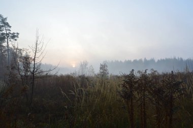Sabah güneşi ormanın ve köyün ufkundan doğuyor.