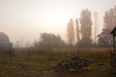 Ormanda ve köyde sabah sisi ve sisi