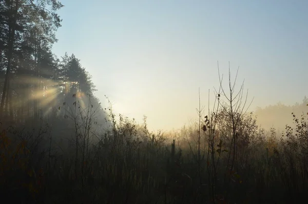 El sol de la mañana sale en el horizonte en el bosque y la aldea — Foto de Stock