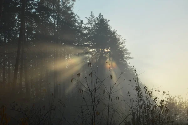Le soleil du matin se lève à l'horizon dans la forêt et le village — Photo