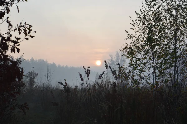 Le soleil du matin se lève à l'horizon dans la forêt et le village — Photo