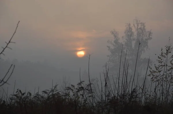 Morgonsolen går upp vid horisonten i skogen och byn — Stockfoto