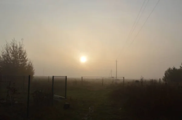 El sol de la mañana sale en el horizonte en el bosque y la aldea — Foto de Stock