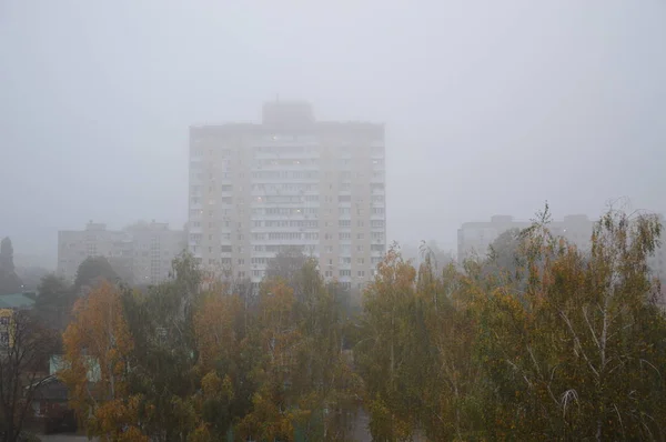 Morning fog and haze in the forest and village — Stock Photo, Image