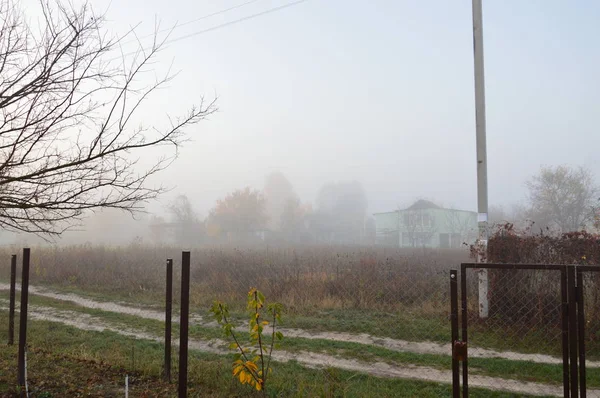 Ranní mlha a opar v lese a vesnici — Stock fotografie