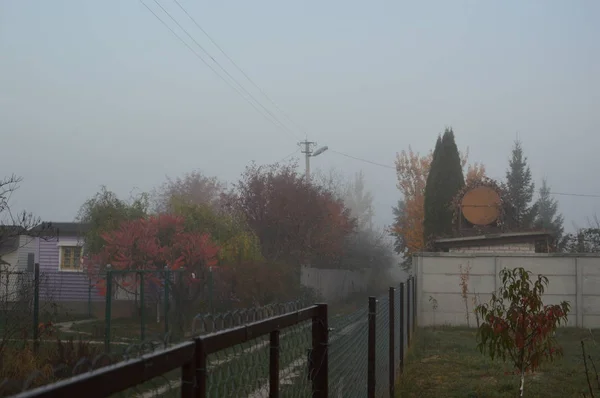 Brouillard matinal et brume dans la forêt et le village — Photo