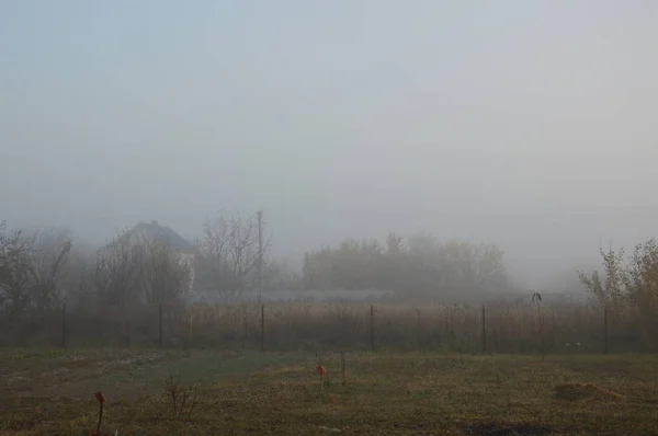 Niebla y neblina matutinas en el bosque y la aldea — Foto de Stock