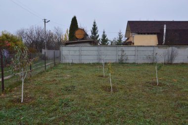 Bahçe, kış bitkileri ve ağaçlar için hazırlandı