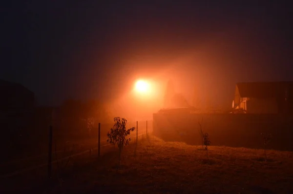 Nebbia mattutina dopo una notte nella foresta — Foto Stock