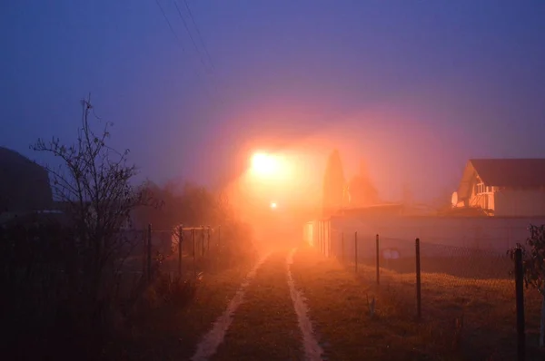 Ranní mlha po noci v lese — Stock fotografie