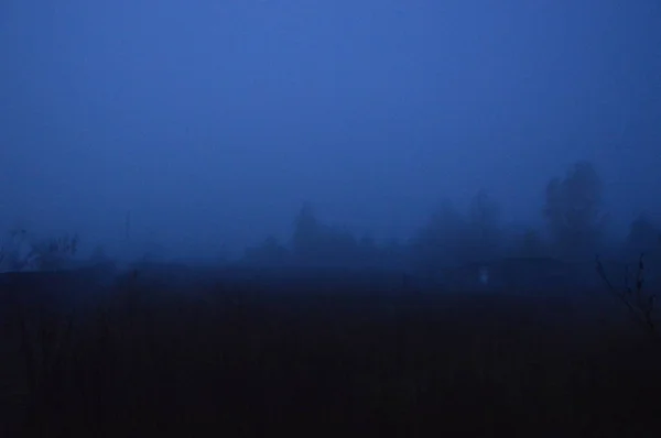 Morning fog after a night in the forest — Stock Photo, Image