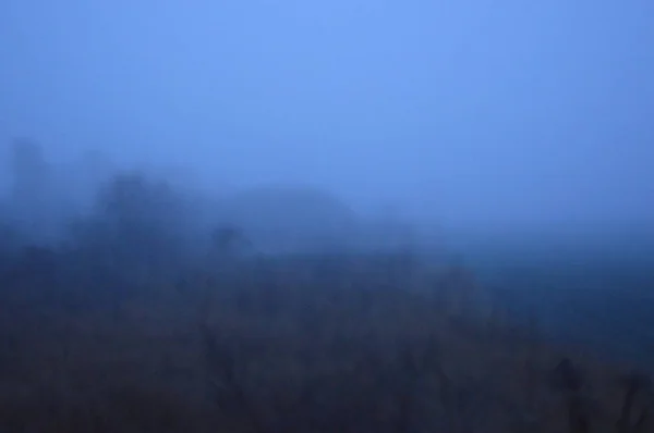 Nevoeiro da manhã depois de uma noite na floresta — Fotografia de Stock