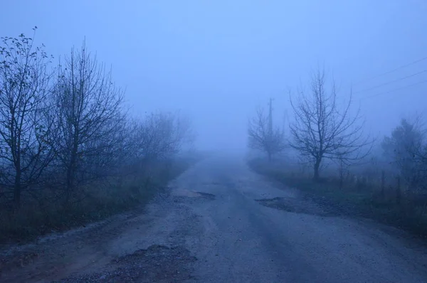 Niebla matutina después de una noche en el bosque —  Fotos de Stock