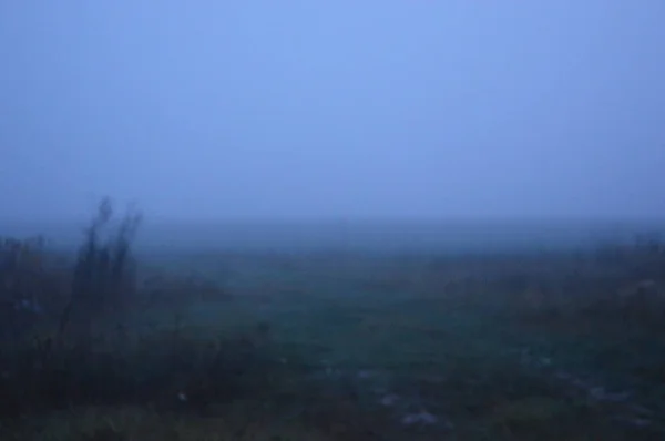 Brouillard matinal après une nuit dans la forêt — Photo