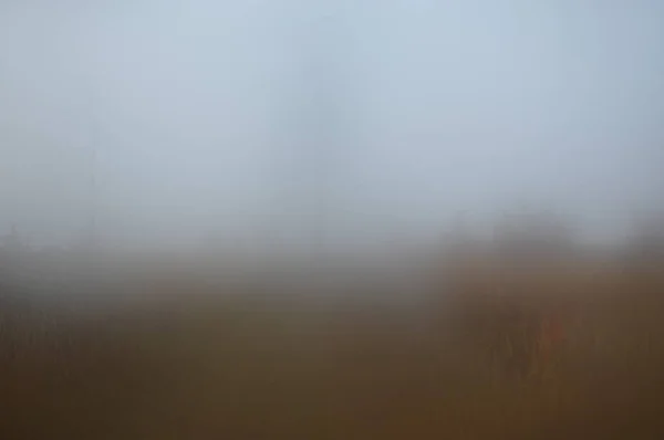 Poranna mgła po nocy w lesie — Zdjęcie stockowe