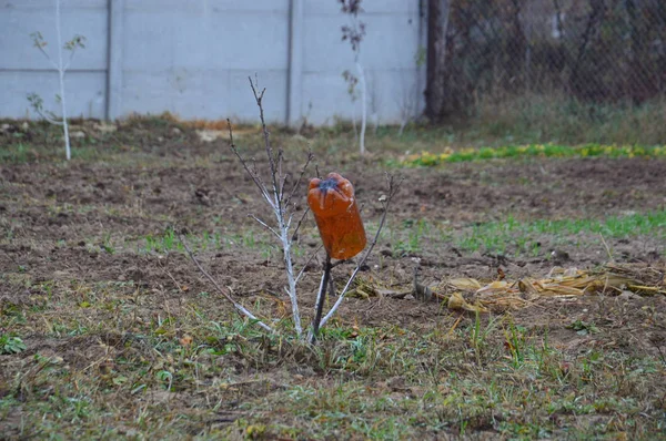 Giardino preparato per piante e alberi invernali — Foto Stock