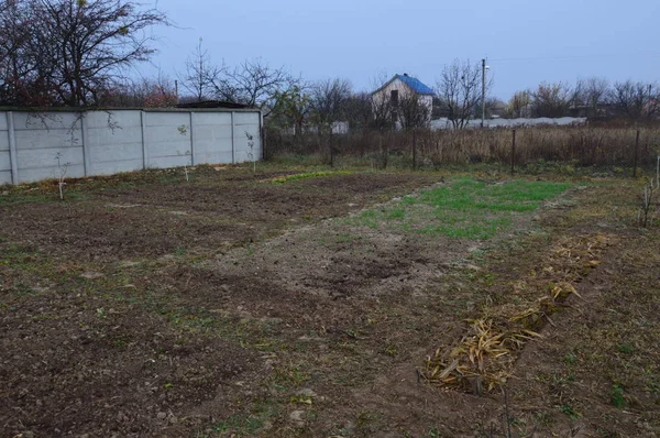 Tuin voorbereid voor winterplanten en bomen — Stockfoto