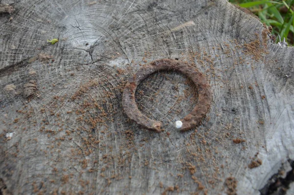 Die Heimtückischen Artefakte Mit Dem Metalldetektor — Stockfoto