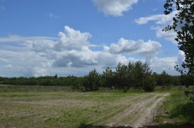 Bir traktör tarafından yapılan bir iniş sahasında ekilebilir arazi.
