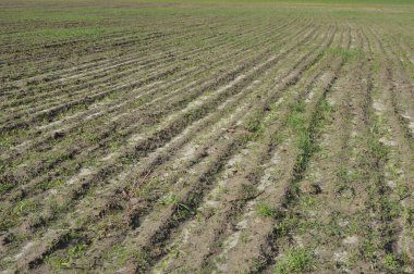 Bir traktör tarafından yapılan bir iniş sahasında ekilebilir arazi.