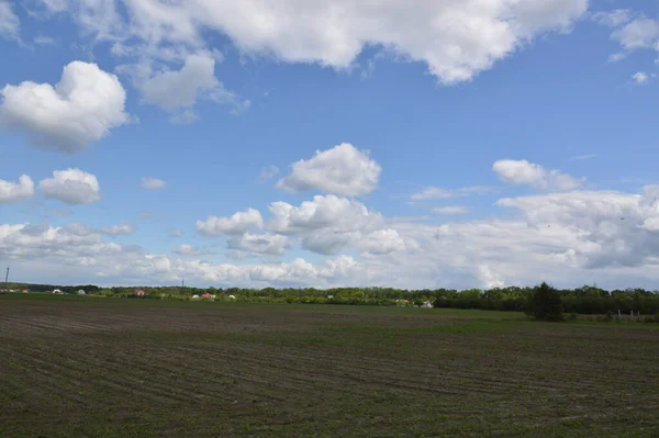 Ackerland Einem Dorf Auf Einem Landeplatz Mit Dem Traktor — Stockfoto